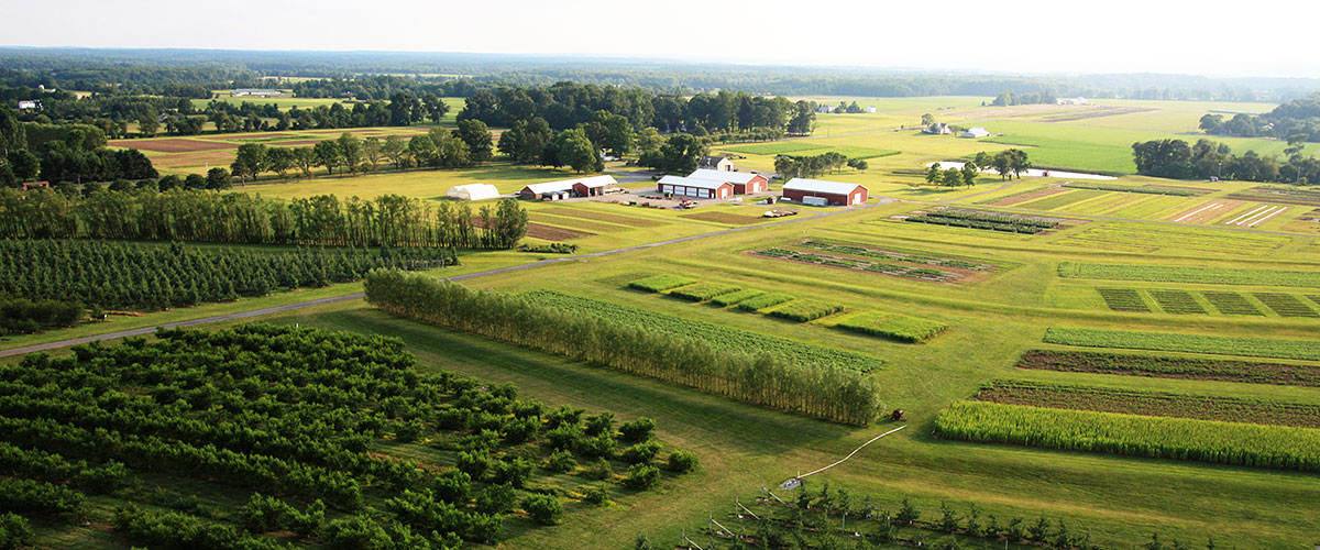 Aerial view of Snyder Farm.