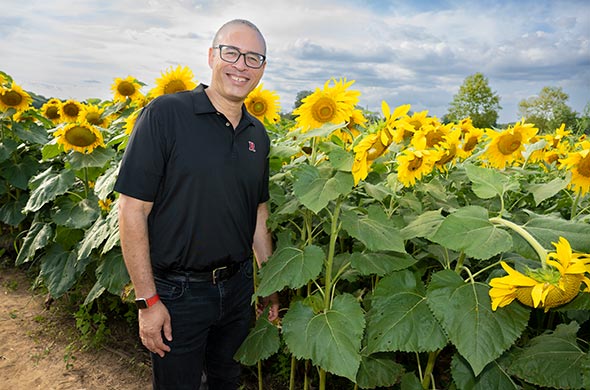 Rutgers President John Holloway stading in front of a sunflower patch.