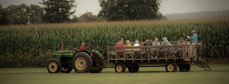 A tractor pulling a wagon full of people past a corn field.