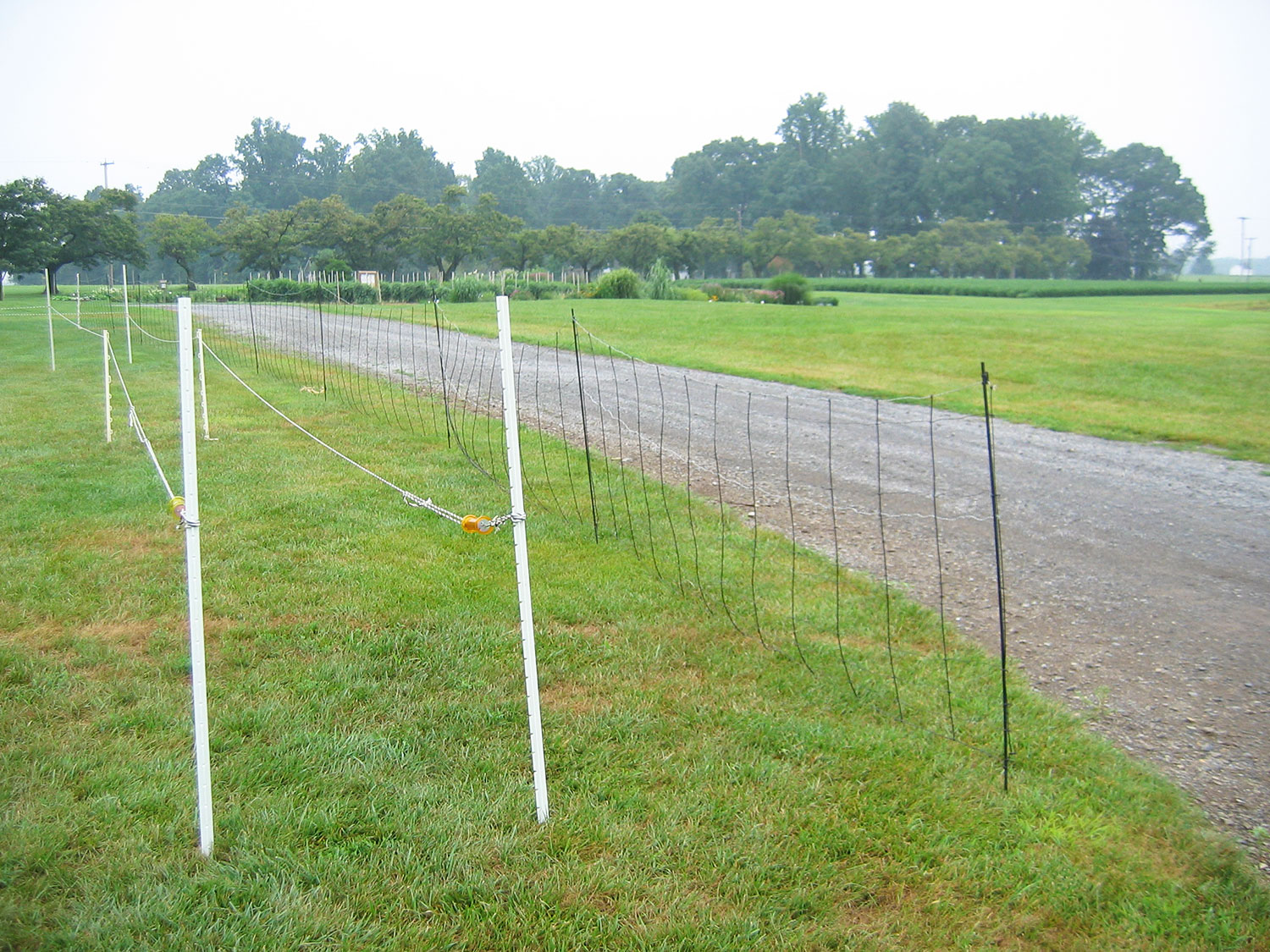 Deer Fencing to Reduce Agricultural 