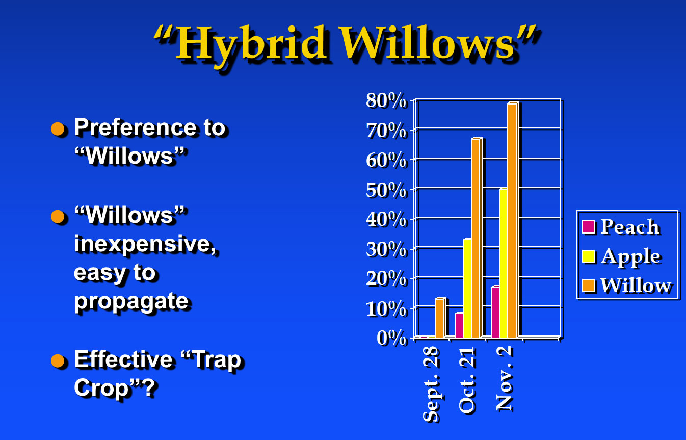 Hybrid Willows chart.