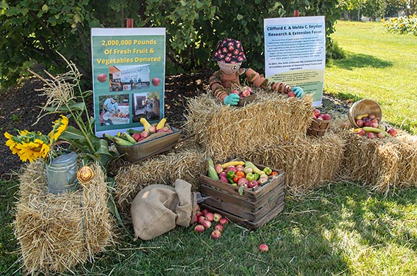 An Autumn display with a sign that says, '2,000,000 Pounds of Fresh Fruit and Vegetables Donated!'.