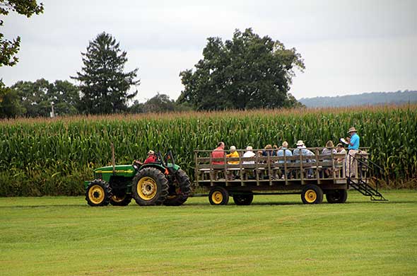 A tractor pulling a wagon full of people past a cord field.
