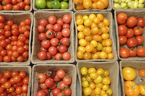 Red, orange, yellow, and green grape / cherry tomatoes separated by variety in cardboard containers.