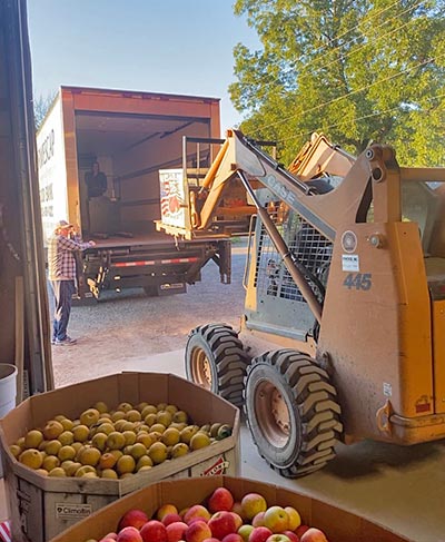 Loading produce onto a truck.